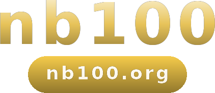 nb100 logo